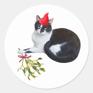 Katze mit Mistletoe-Aufklebern Runder Aufkleber