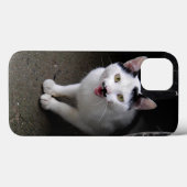 Katze mit Mustache Case-Mate iPhone Hülle (Rückseite (Horizontal))