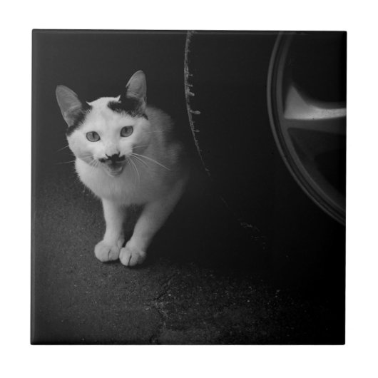 Katze mit Mustache Fliese (Vorderseite)