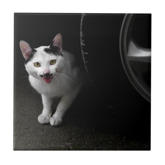 Katze mit Mustache Fliese (Vorderseite)