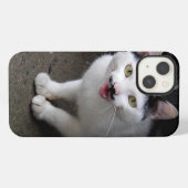 Katze mit Mustache iPhone Hülle (Rückseite (Horizontal))