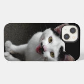 Katze mit Mustache iPhone Hülle (Rückseite (Horizontal))