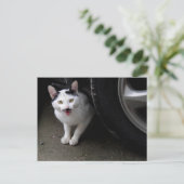 Katze mit Mustache Postkarte (Stehend Vorderseite)