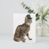 Katze mit Oberhut Postkarte (Stehend Vorderseite)
