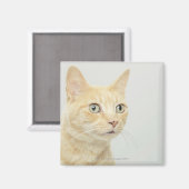Katze mit offenen Augen Magnet (Vorderseite/Rückseite)