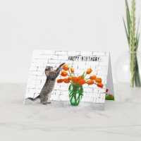Katze mit Orange Tulips Geburtstag
