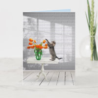 Katze mit Orange Tulips wird gut