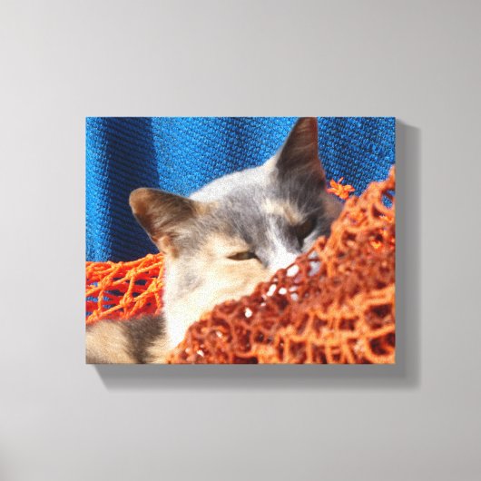 Katze mit orangefarbenem Netz Leinwanddruck (Vorderseite)