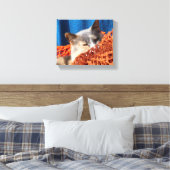 Katze mit orangefarbenem Netz Leinwanddruck (Insitu (Schlafzimmer))