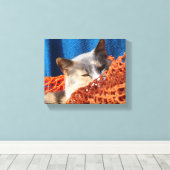 Katze mit orangefarbenem Netz Leinwanddruck (Insitu (Holzboden))