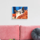 Katze mit orangefarbenem Netz Leinwanddruck (Insitu (Wohnzimmer))