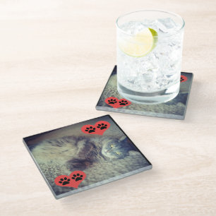 Katze mit Pawprints von Shirley Taylor Glasuntersetzer