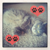 Katze mit Pawprints von Shirley Taylor Glasuntersetzer (Vorderseite)
