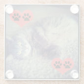 Katze mit Pawprints von Shirley Taylor Glasuntersetzer (Rückseite)