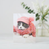 Katze mit Pink Hat Postcard Postkarte (Stehend Vorderseite)