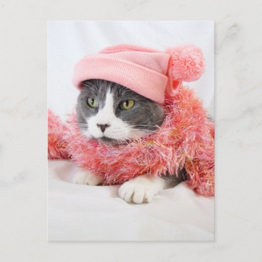 Katze mit Pink Hat Postcard Postkarte (Vorderseite)