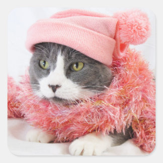 Katze mit Pink-Hat-Square-Aufklebern, glänzend Quadratischer Aufkleber