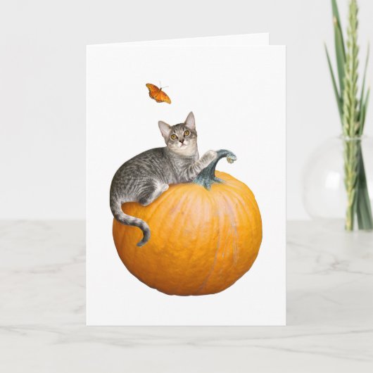 Katze mit Pumpkin und Schmetterlingskarte Karte (Vorderseite)