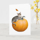 Katze mit Pumpkin und Schmetterlingskarte Karte (Gelbe Blume)