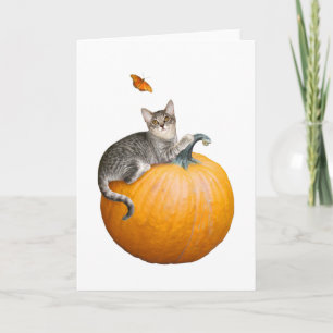 Katze mit Pumpkin und Schmetterlingskarte Karte
