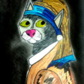 Katze mit Regenbogendecke Karte