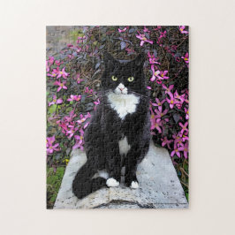 Katze mit rosa Busch, Puzzle