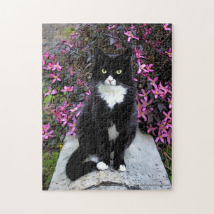 Katze mit rosa Busch, Puzzle