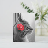 Katze mit Rose Postkarte (Stehend Vorderseite)