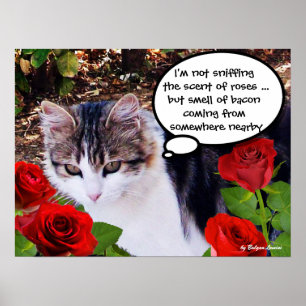 KATZE MIT ROTEN ROSEN POSTER