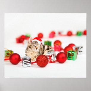 Katze mit roter Weihnachtsmannmütze Weihnachten Poster