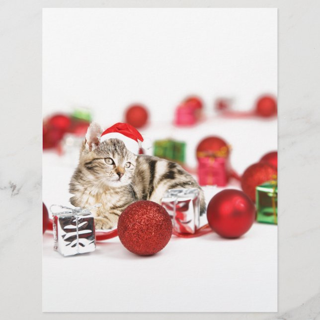 Katze mit roter Weihnachtsmannmütze Weihnachtsschm (Vorderseite)