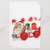 Katze mit roter Weihnachtsmannmütze Weihnachtsschm Briefpapier (Vorne/Hinten)