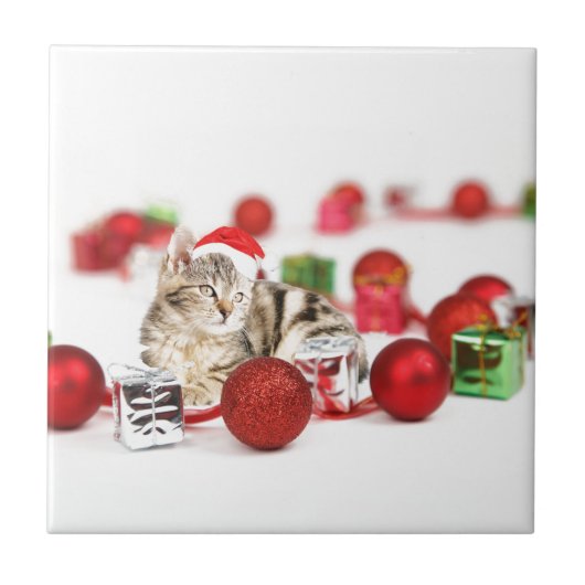 Katze mit roter Weihnachtsmannmütze Weihnachtsschm Fliese (Vorderseite)