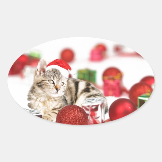 Katze mit roter Weihnachtsmannmütze Weihnachtsschm Ovaler Aufkleber (Vorderseite)