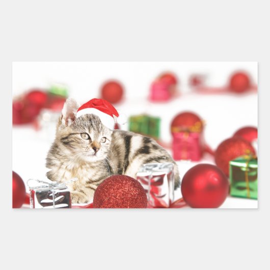 Katze mit roter Weihnachtsmannmütze Weihnachtsschm Rechteckiger Aufkleber (Vorderseite)