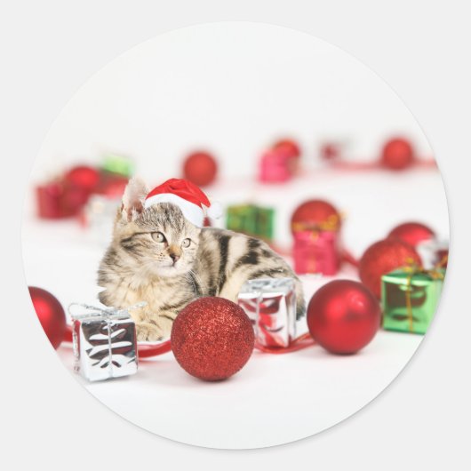 Katze mit roter Weihnachtsmannmütze Weihnachtsschm Runder Aufkleber (Vorderseite)