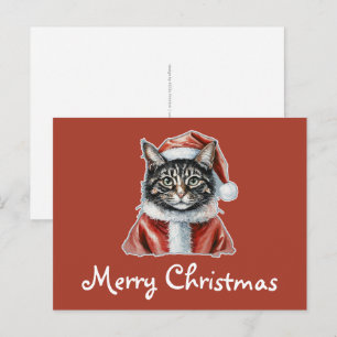 Katze mit Santa Claus Outfit - Weihnachten 1 Postkarte