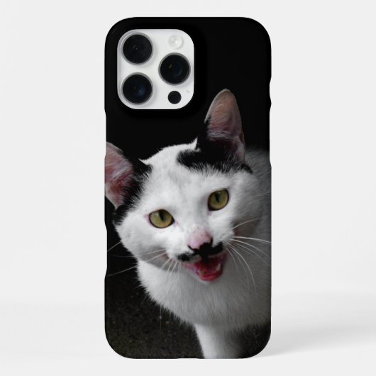 Katze mit Schnurrbart iPhone Hülle (Rückseite)