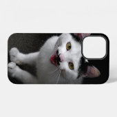Katze mit Schnurrbart iPhone Hülle (Rückseite (Horizontal))