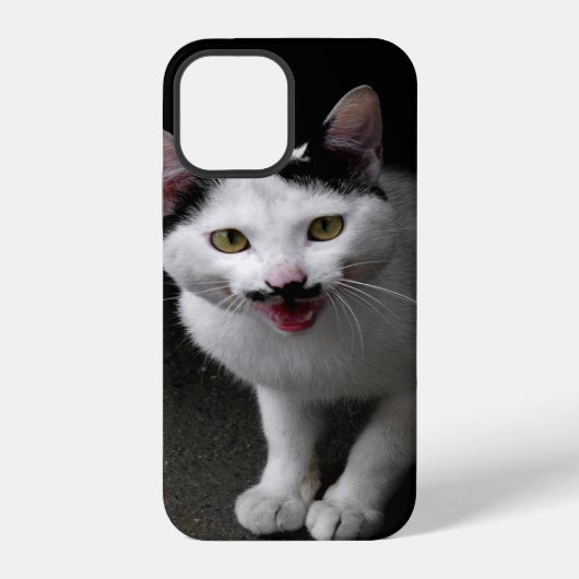 Katze mit Schnurrbart iPhone Hülle (Rückseite)