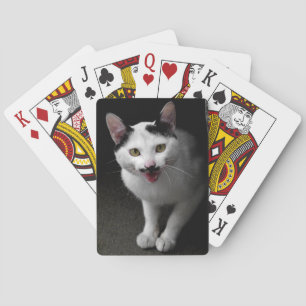 Katze mit Schnurrbart Spielkarten