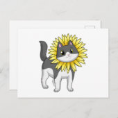 Katze mit Sonnenblume Postkarte (Vorne/Hinten)