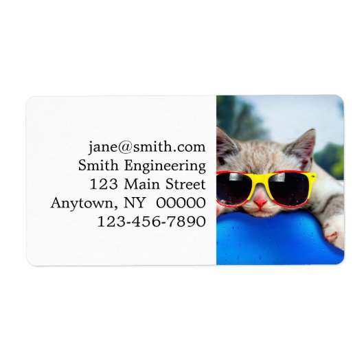 Katze mit Sonnenbrille, die sich auf einer Luftmat (Vorne)