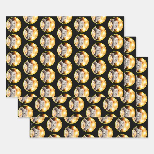 Katze mit Sparklerkuchen Geschenkpapier Set (Set)