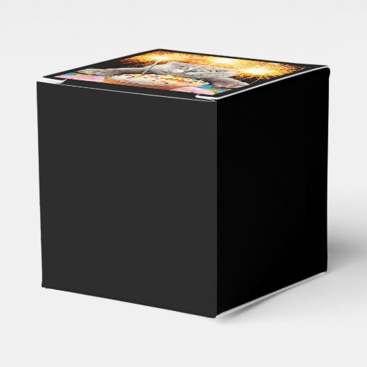 Katze mit Sparklerkuchen Geschenkschachtel (Vorderseite)