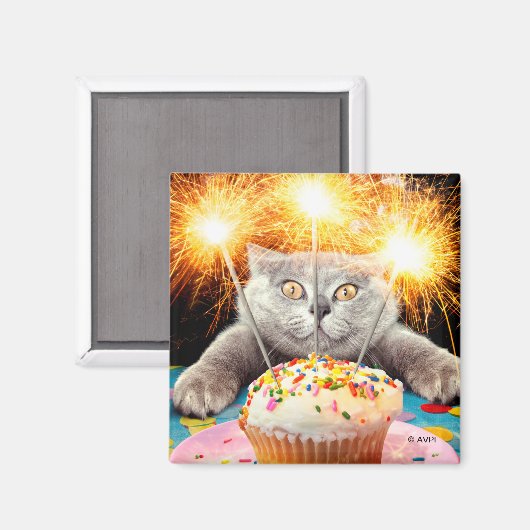 Katze mit Sparklerkuchen Magnet (Vorderseite/Rückseite)