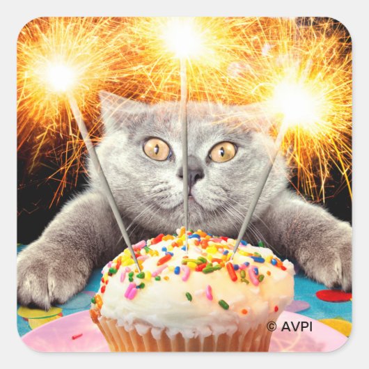 Katze mit Sparklerkuchen Quadratischer Aufkleber (Vorderseite)