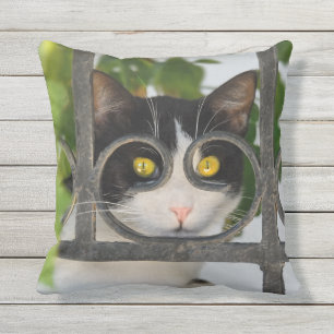 Katze mit Spektakeln Frame Funny - für Außenbere Kissen Für Draußen