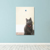 Katze mit Spielzeug Leinwanddruck (Insitu (Holzboden))
