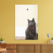Katze mit Spielzeug Leinwanddruck (Insitu (Wohnzimmer))